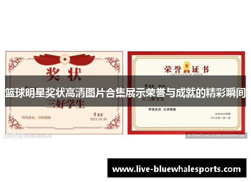 篮球明星奖状高清图片合集展示荣誉与成就的精彩瞬间