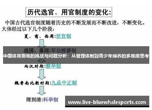 中国体育面临的挑战与问题分析：从管理体制到青少年培养的多维度思考