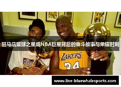 驻马店篮球之星成NBA巨星背后的奋斗故事与荣耀时刻